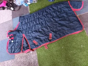 5'0, heavy, stable rug, standard neck, few tears and repairs🤍