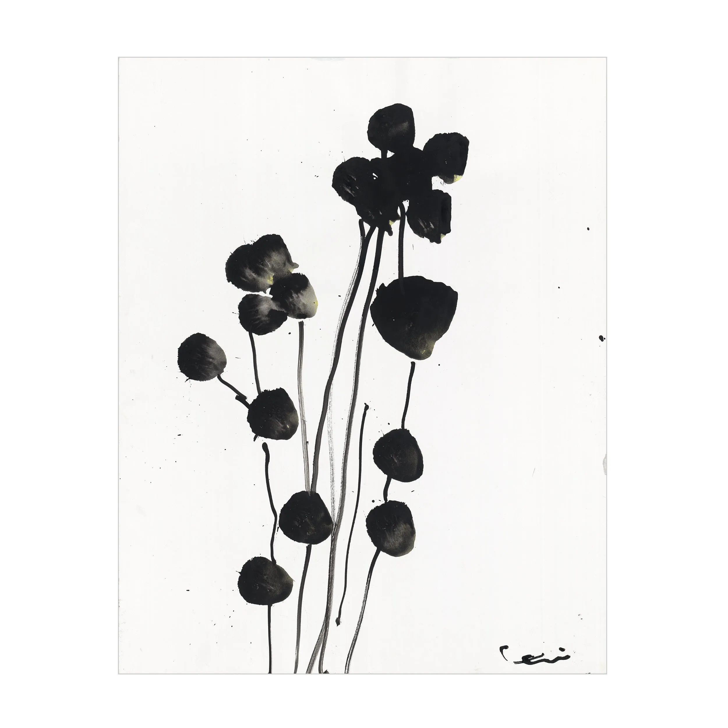 Catamount Garden Art Print