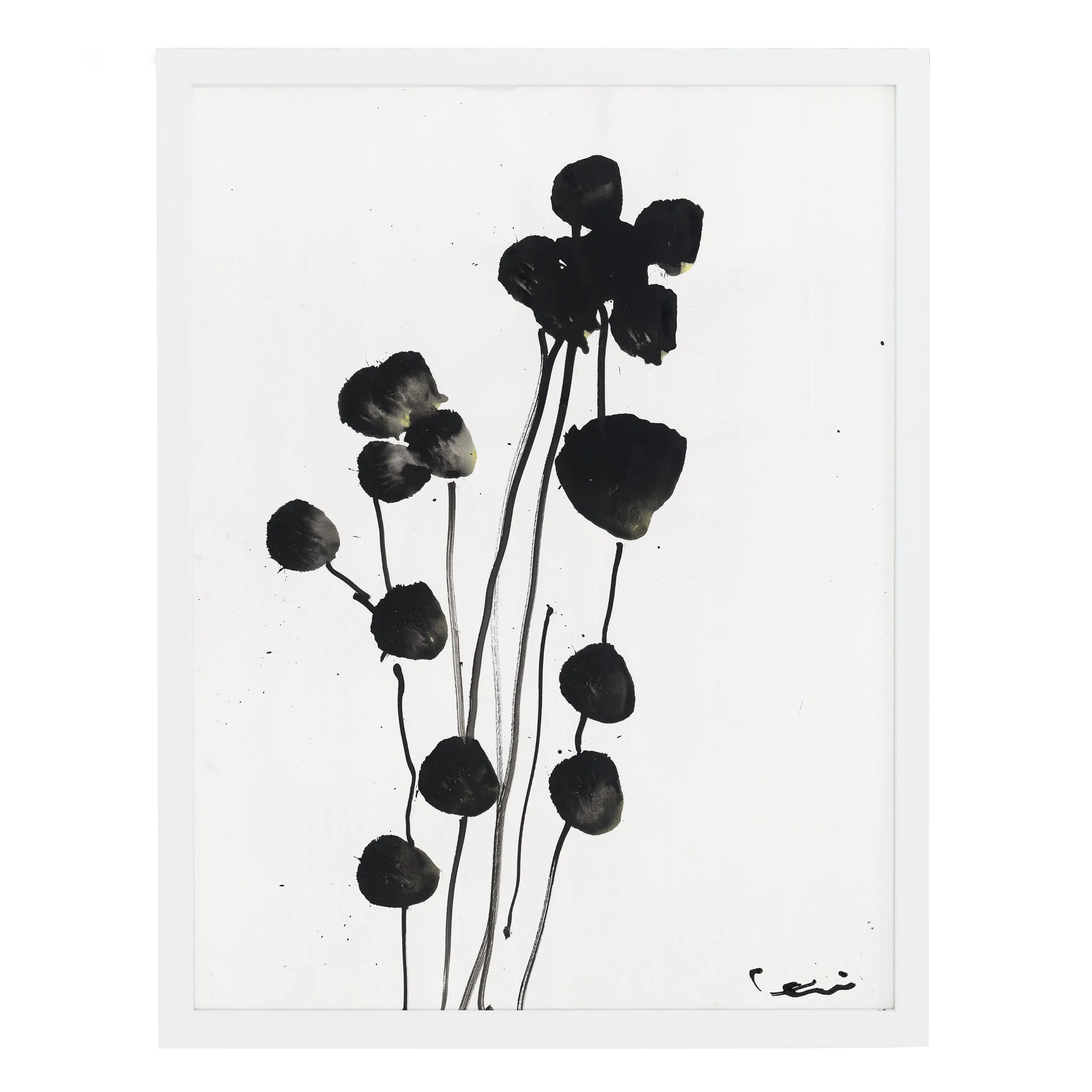 Catamount Garden Art Print