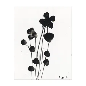 Catamount Garden Art Print