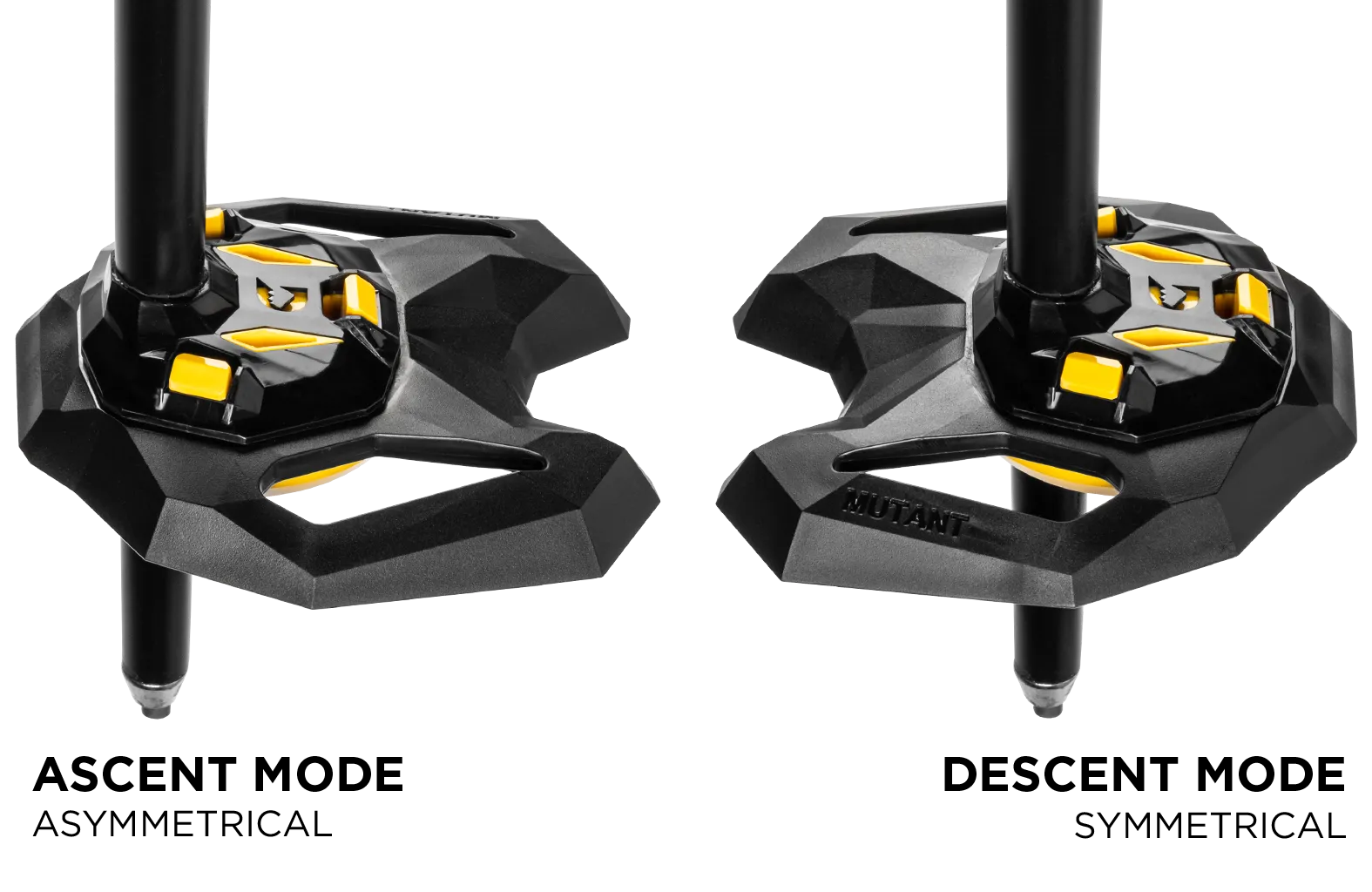Condor Evo Ski Vario
