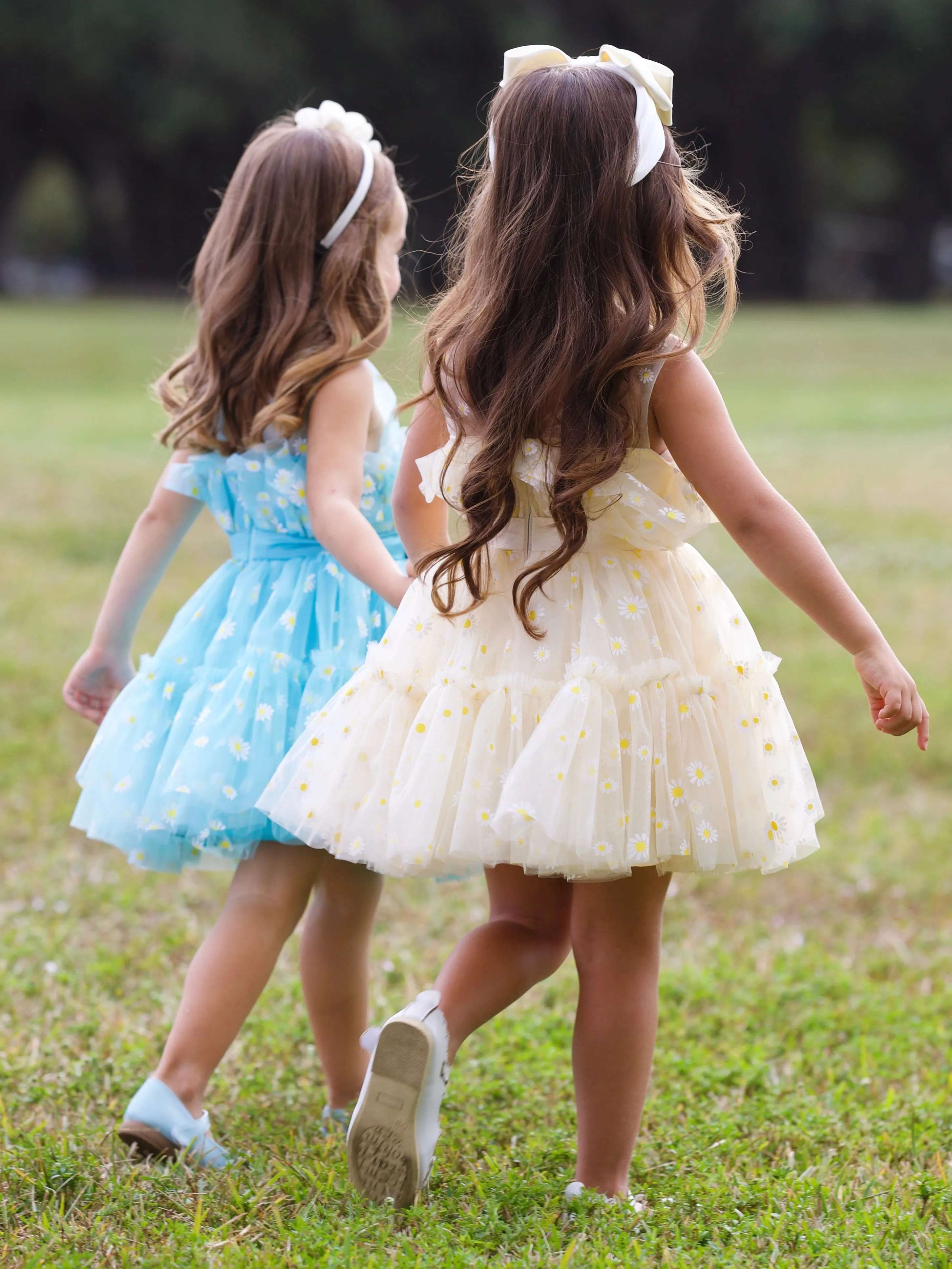 Daydream Daisy Embroidered Floral Tutu Dress