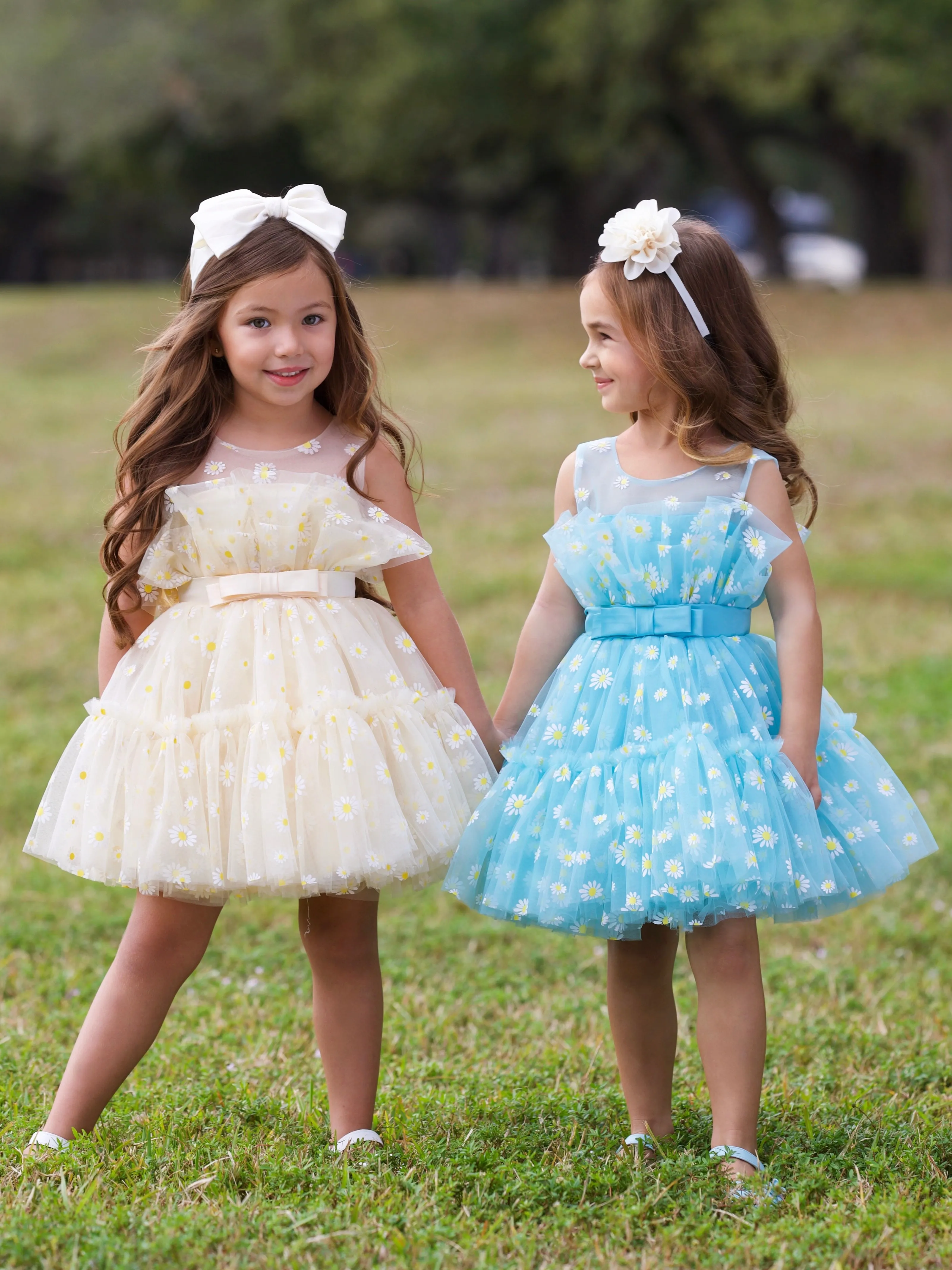 Daydream Daisy Embroidered Floral Tutu Dress