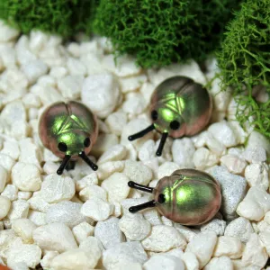 Fairy Garden Beetles (Set of 3)