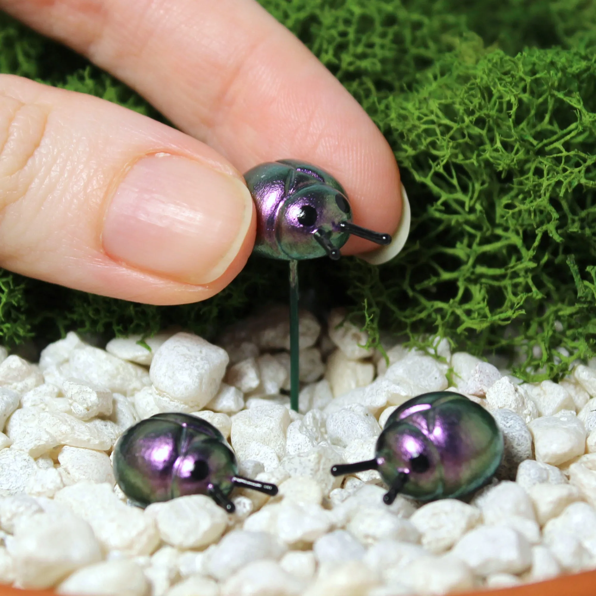 Fairy Garden Beetles (Set of 3)