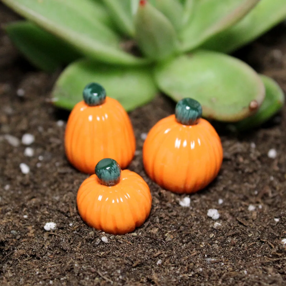 Fairy Pumpkins (Set of 3)