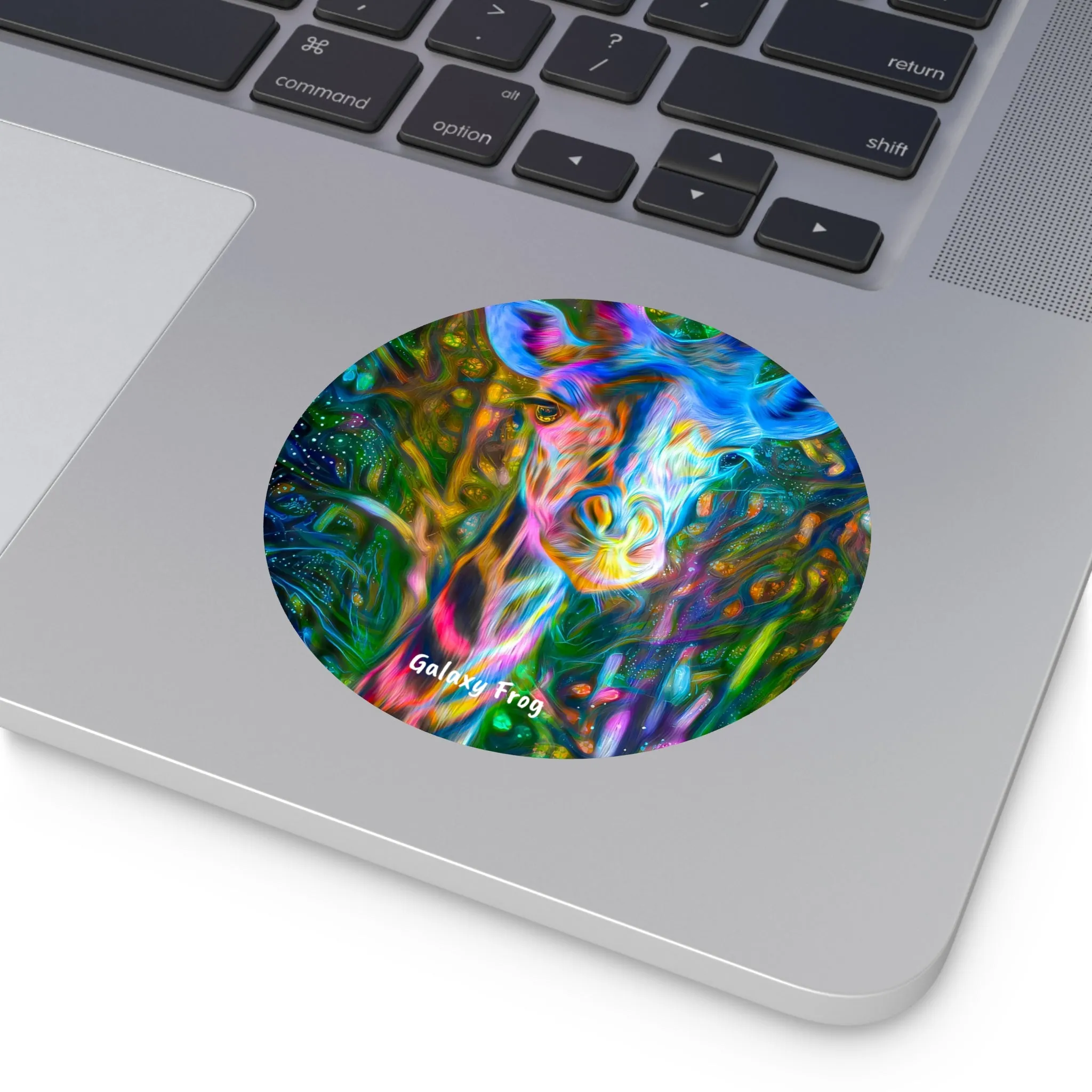 Galaxy Frog Giraffe Round Vinyl Stickers