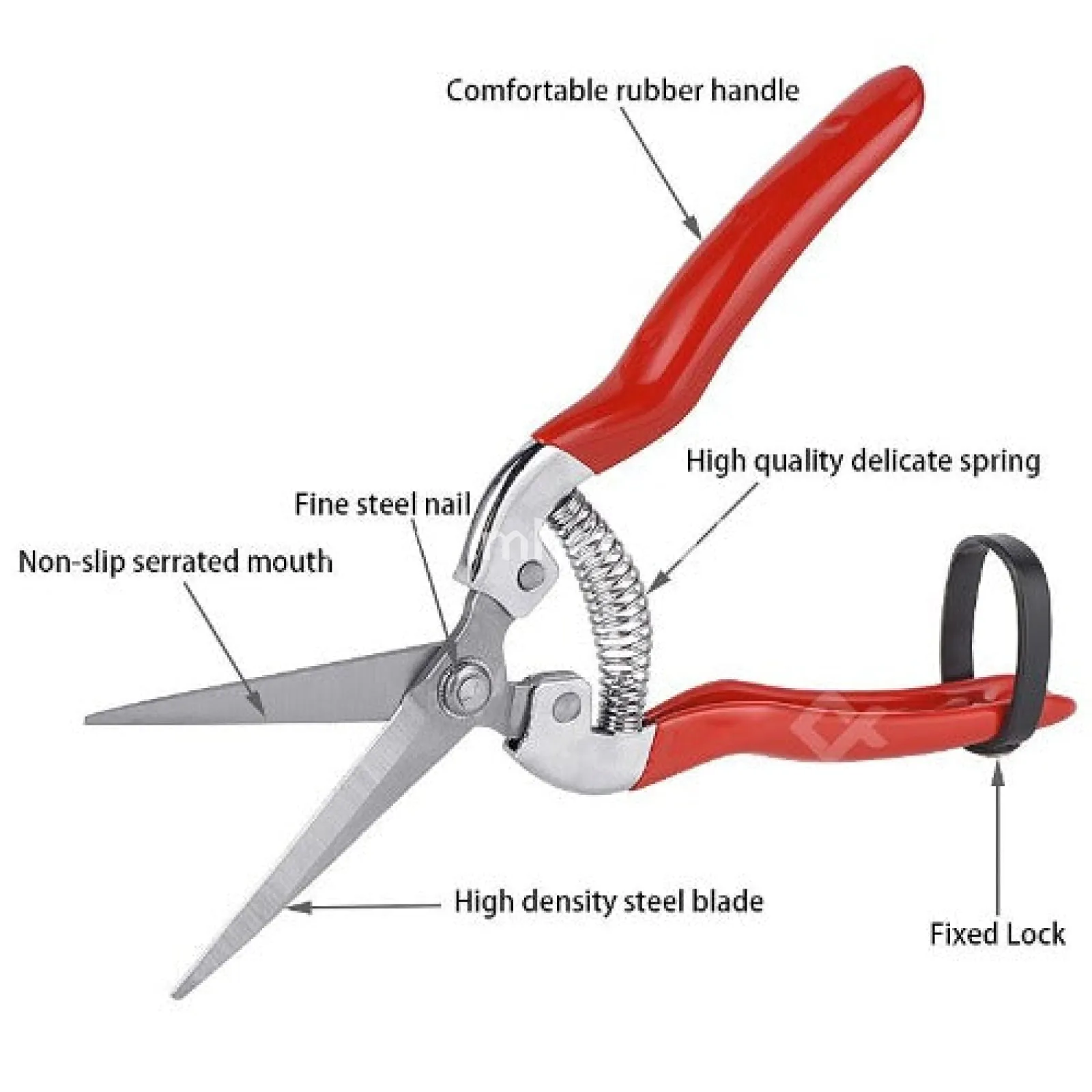 garden tool Fruit scissors pruning shears flower cutting stainless steel