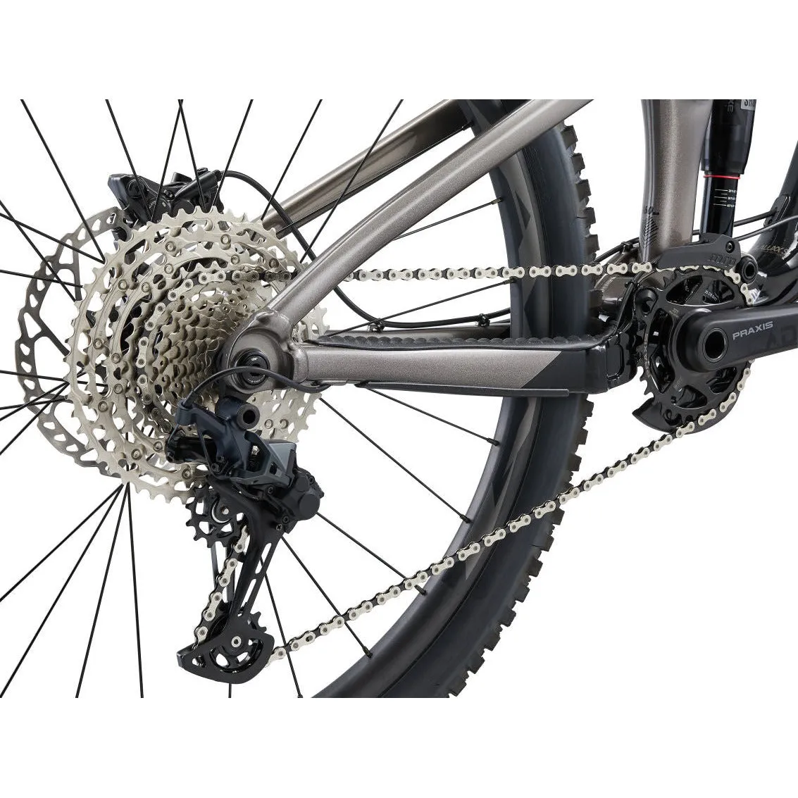 Giant Reign 2 29