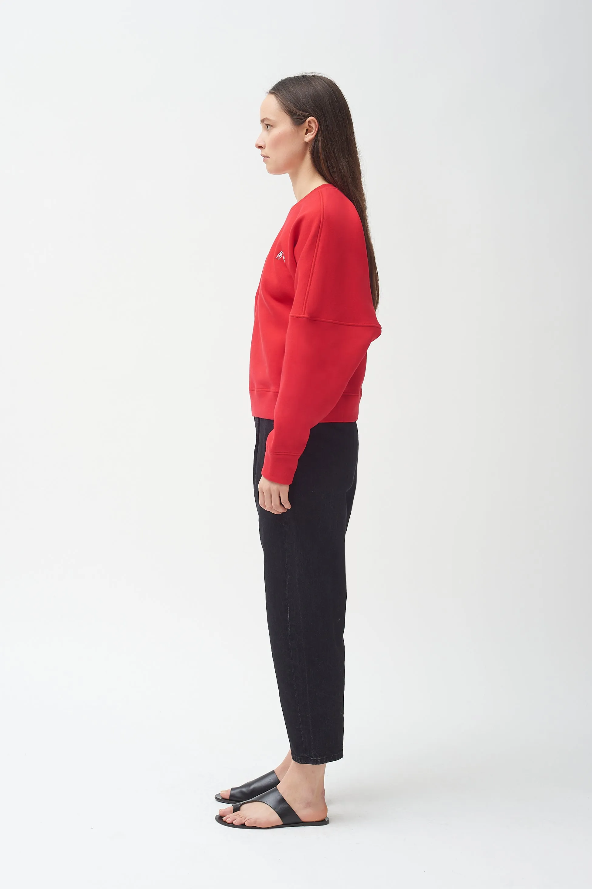 Hand Embroidered red sweatshirt