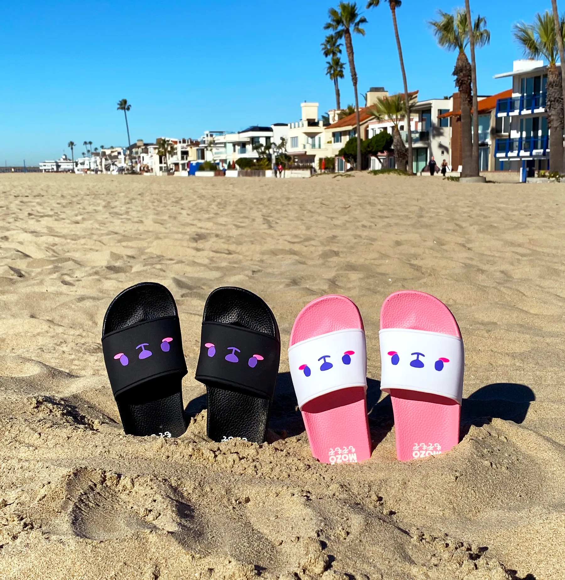 Ichigo-kuma slides  •ᴥ•