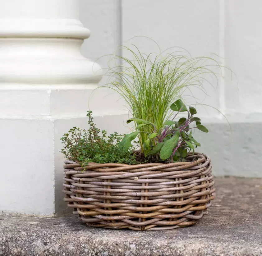Indra Rattan Basket Planter