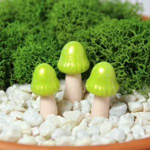 Lime Bell Mushrooms