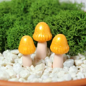 Mango Bell Mushrooms