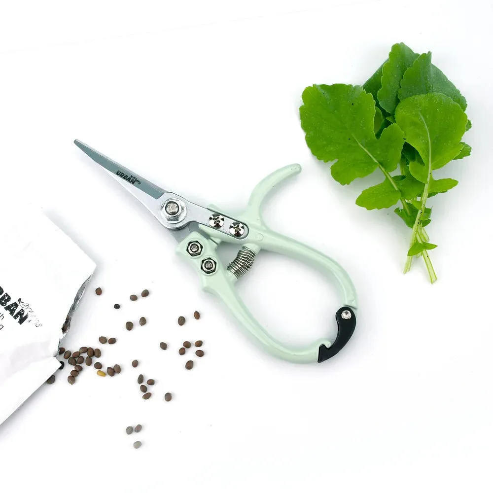 Microgreen Starter Pack to Grow Microgreens and Increase Your Nutrient Intake