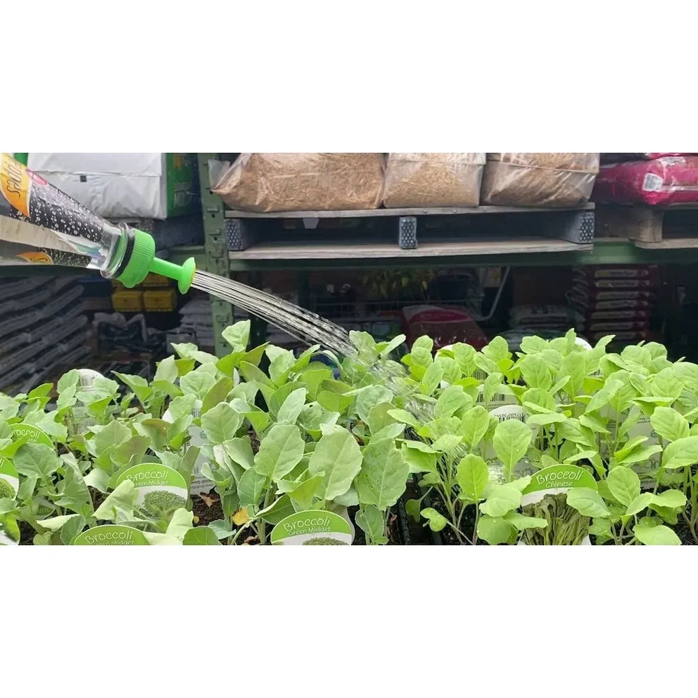 Microgreen Starter Pack to Grow Microgreens and Increase Your Nutrient Intake