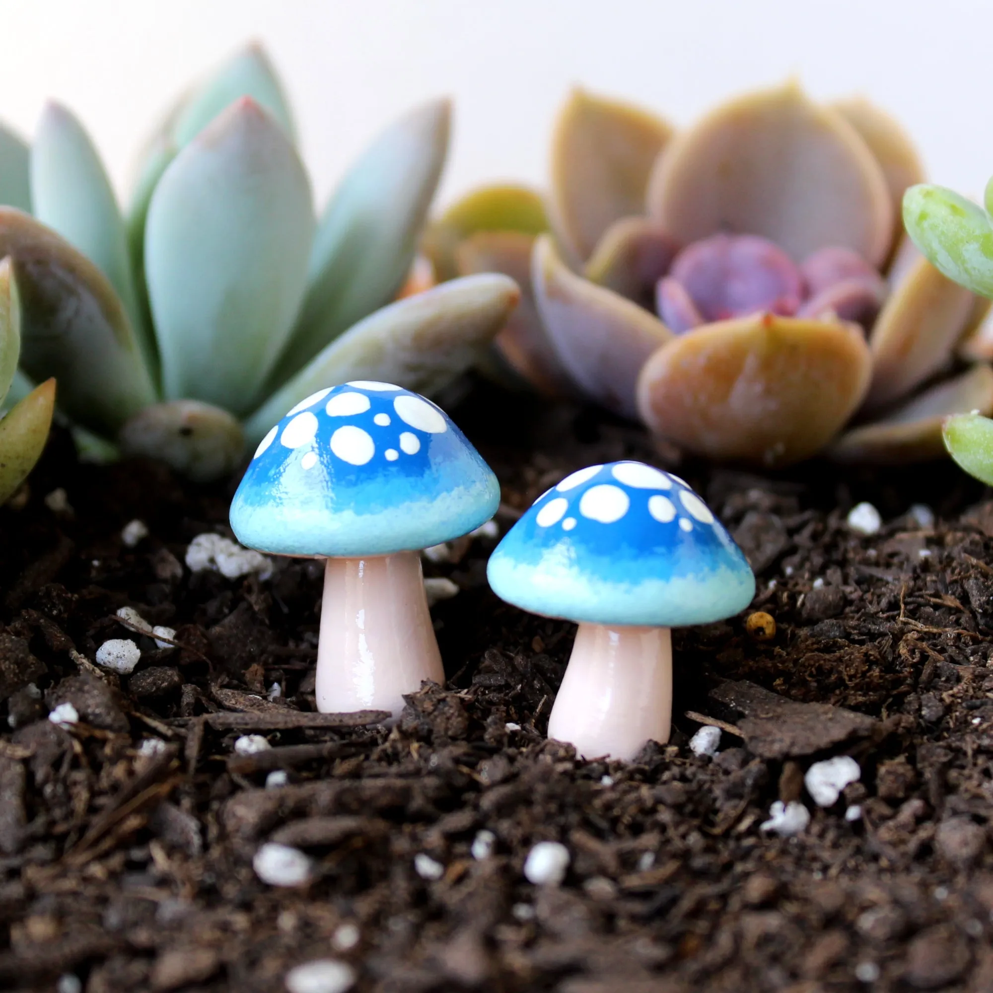 Midnight Ombre Mushroms (Set of 2)