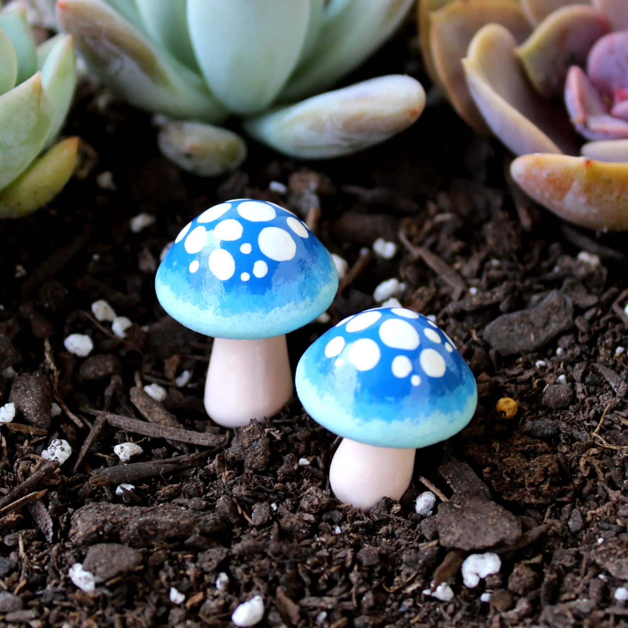 Midnight Ombre Mushroms (Set of 2)