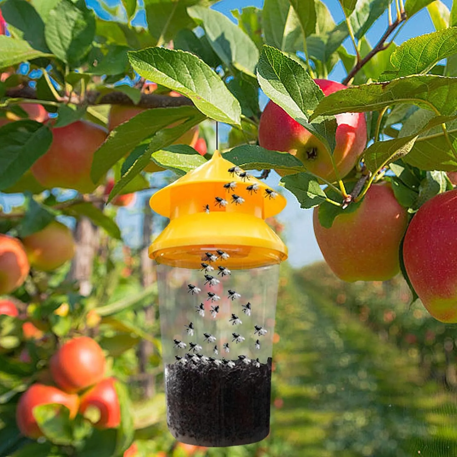 New 2 Pack DISPRA Outdoor Fly Trap | Reusable Fly Jar Effective Fly Control - Stable Fly Trap Outdoor Great for Barns, Stables, Orchards, Gardens etc
