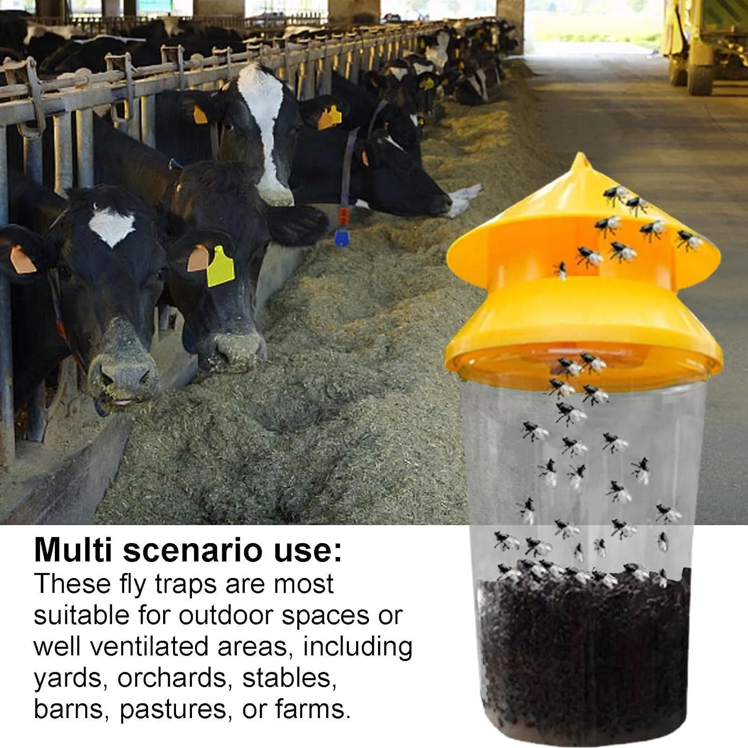 New 2 Pack DISPRA Outdoor Fly Trap | Reusable Fly Jar Effective Fly Control - Stable Fly Trap Outdoor Great for Barns, Stables, Orchards, Gardens etc