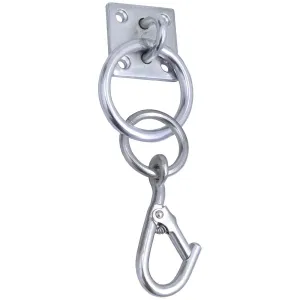 Perry Equestrian 50mm 2 x 2" Carbine Hook on Plate"