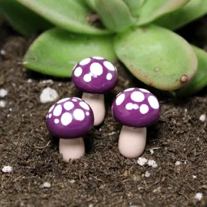 Plum Fairy Toadstools