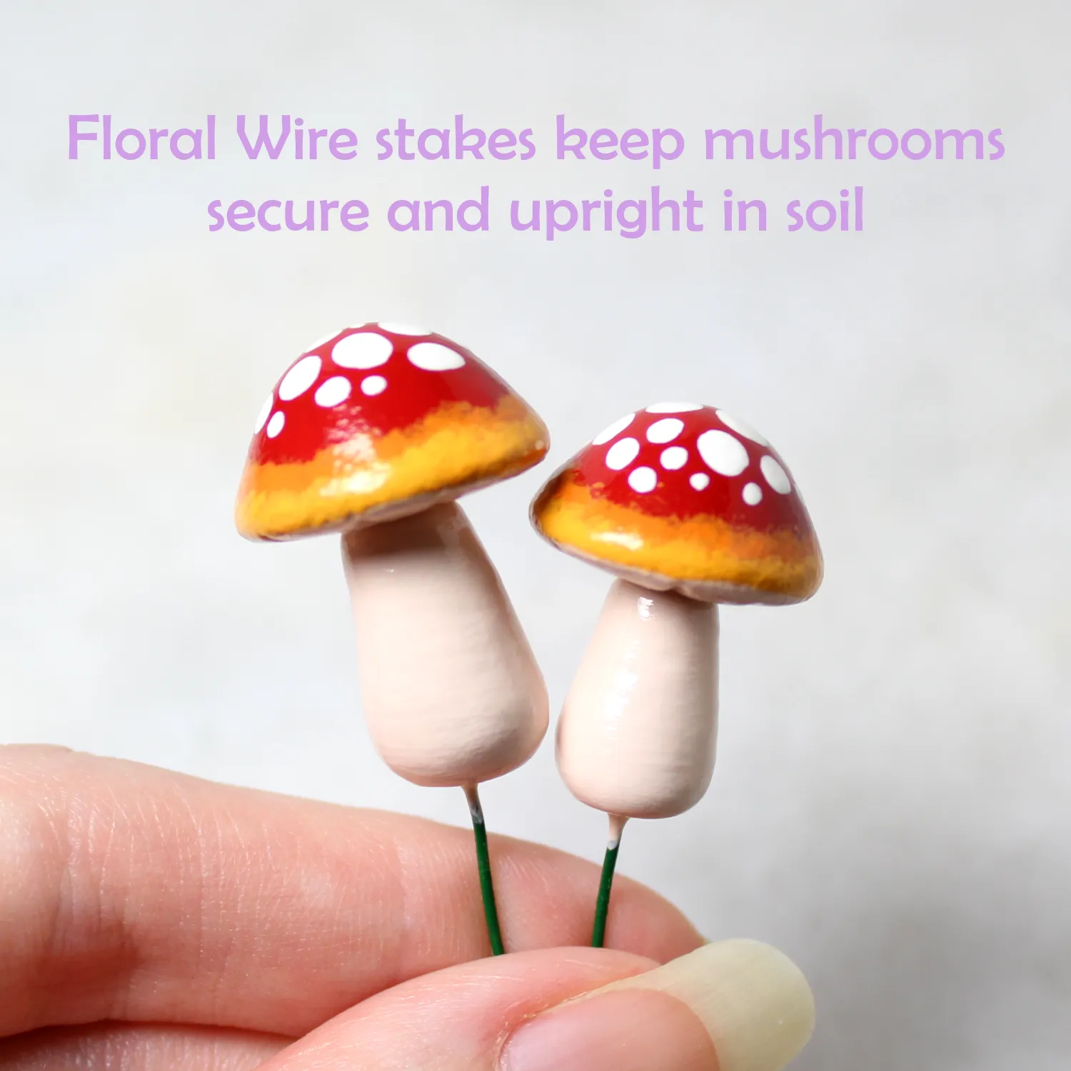 Red Ombre Fairy Mushrooms