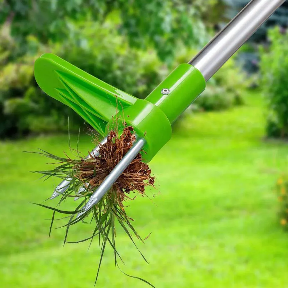 ROOT MASTER 5000