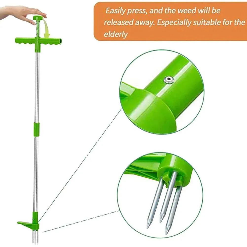 ROOT MASTER 5000