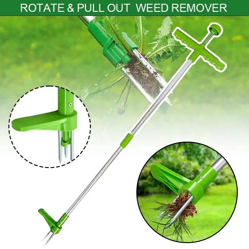 ROOT MASTER 5000
