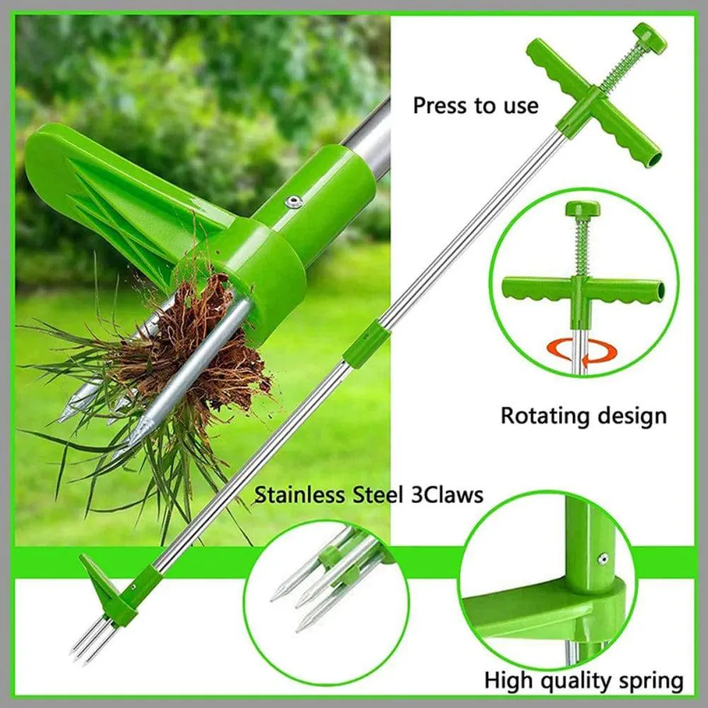ROOT MASTER 5000