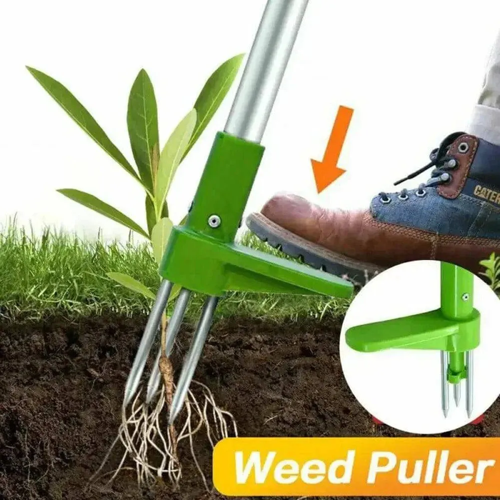 ROOT MASTER 5000