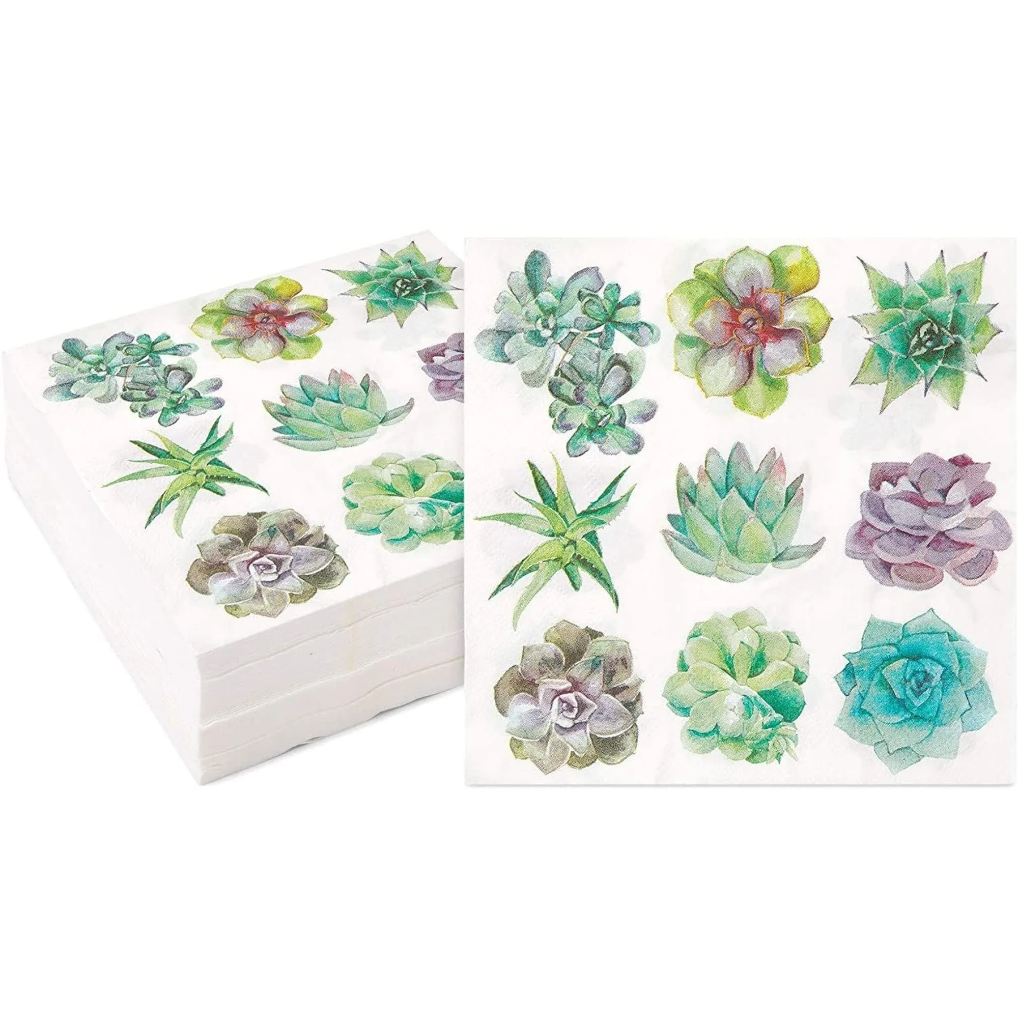 Succulent Paper Napkins for Birthday Party (6.5 in Pack) White Floral Square Bamboo
