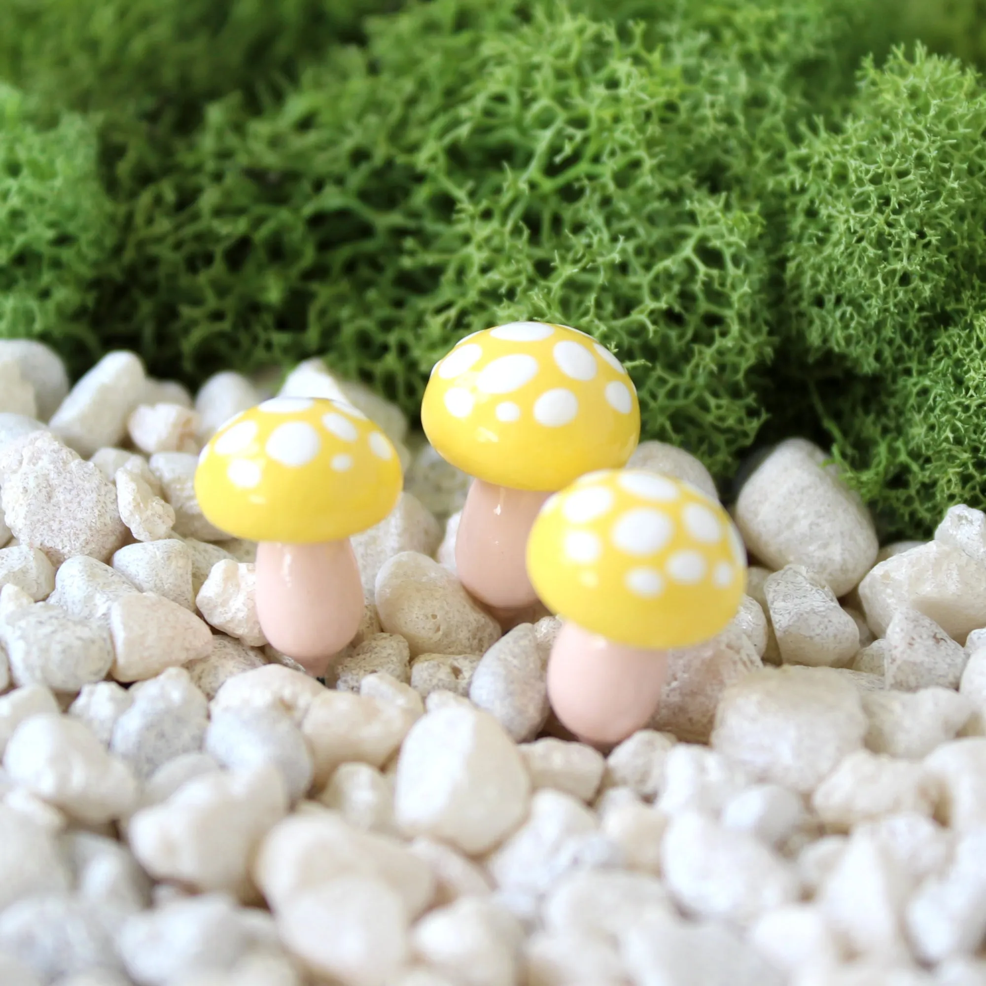 Sunny Toadstools (Set of 4)