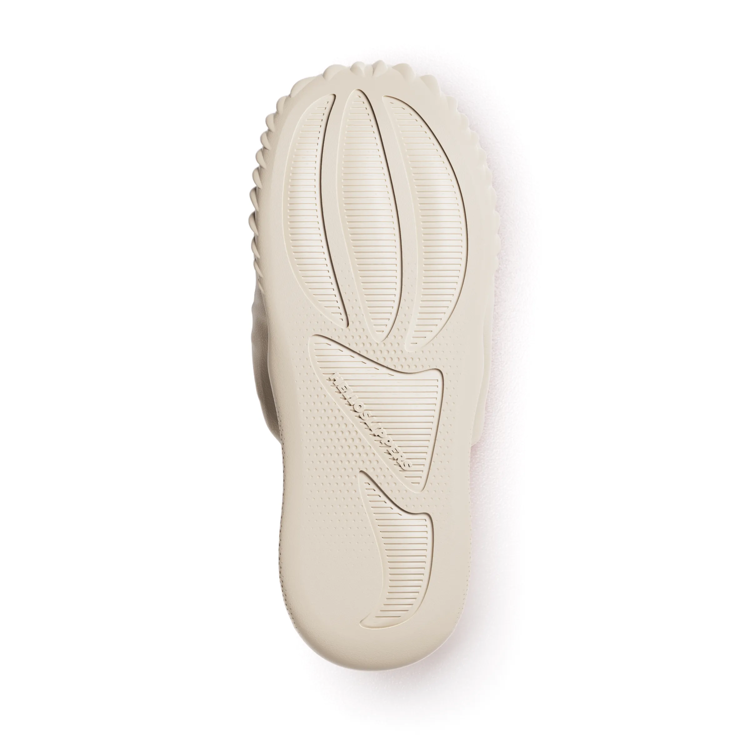 T-Rex Fossil Slide
