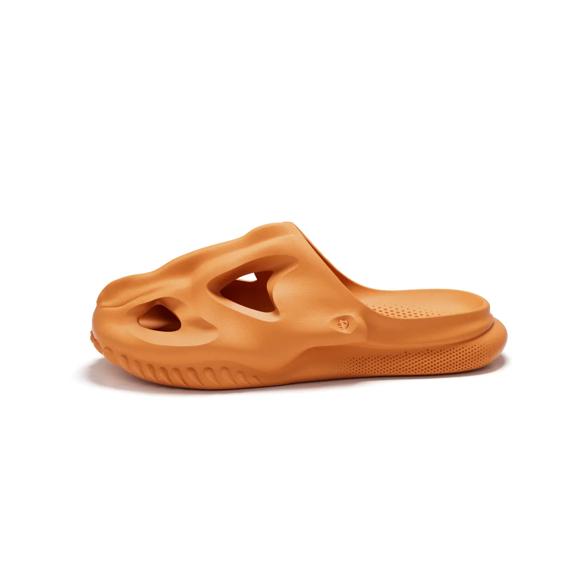 T-Rex Fossil Slide
