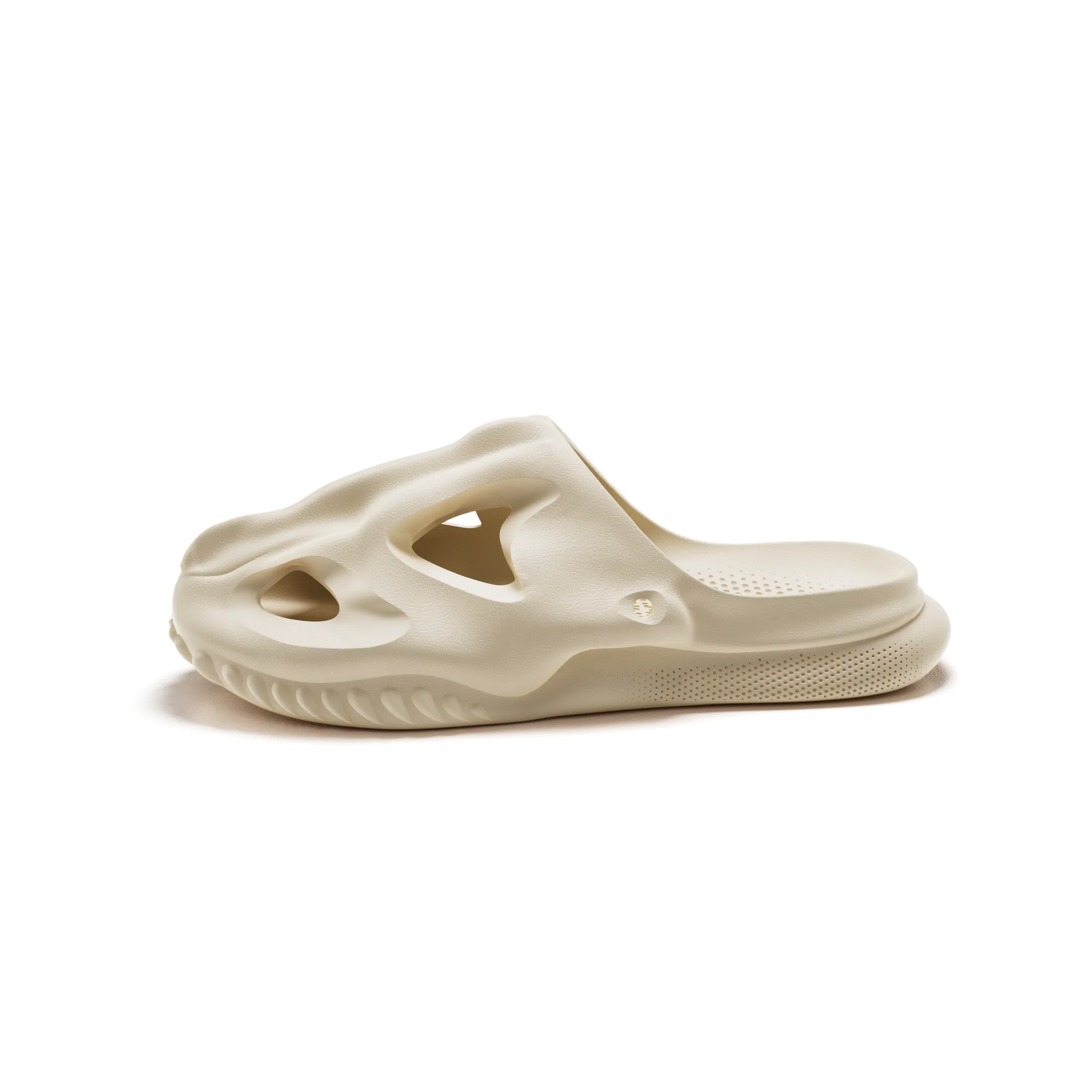 T-Rex Fossil Slide