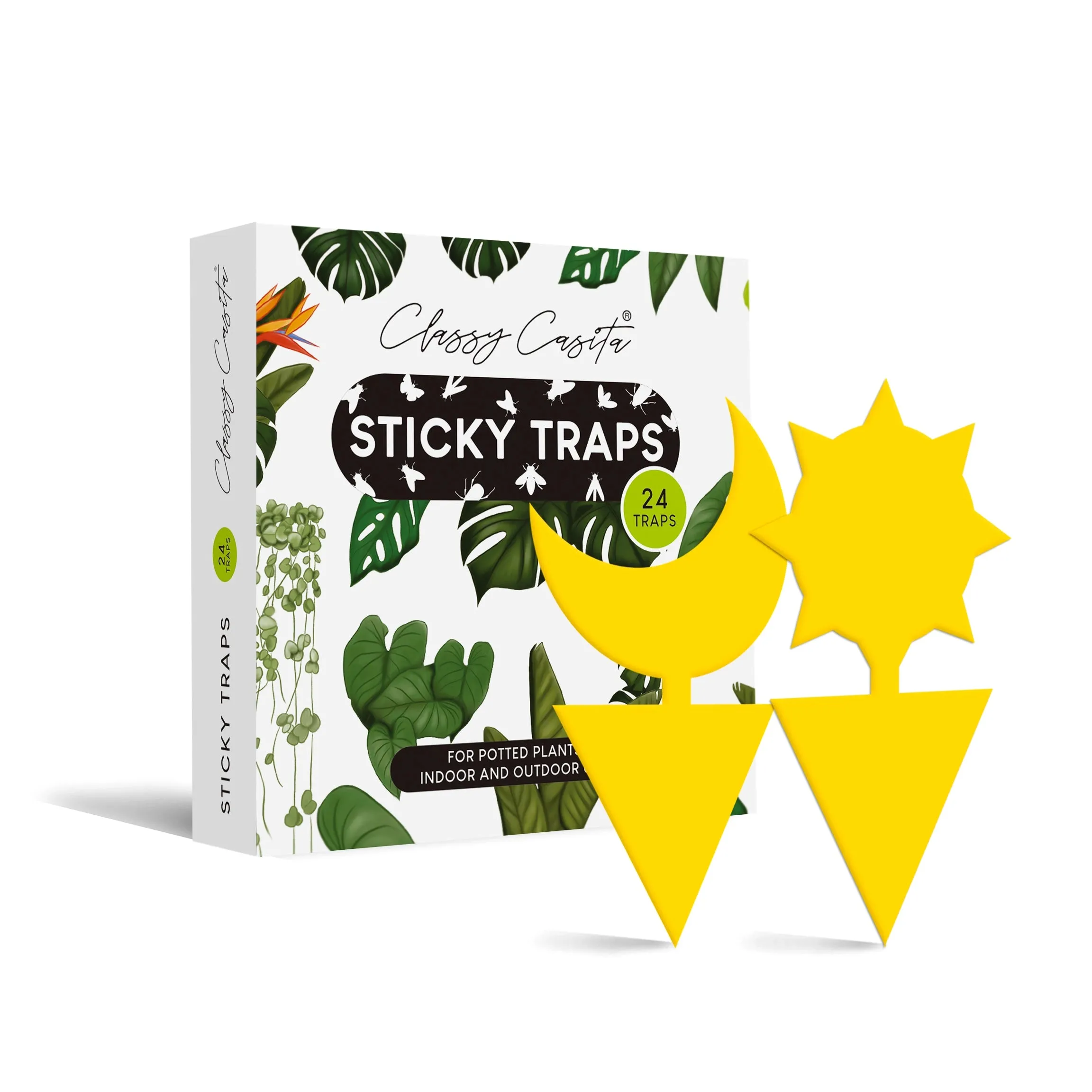 The Sun   Moon Plant Sticky Traps
