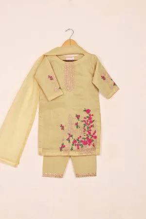TKF-177-Skin - Kids 3Pc Javeria Net Embroidered Formal Dress