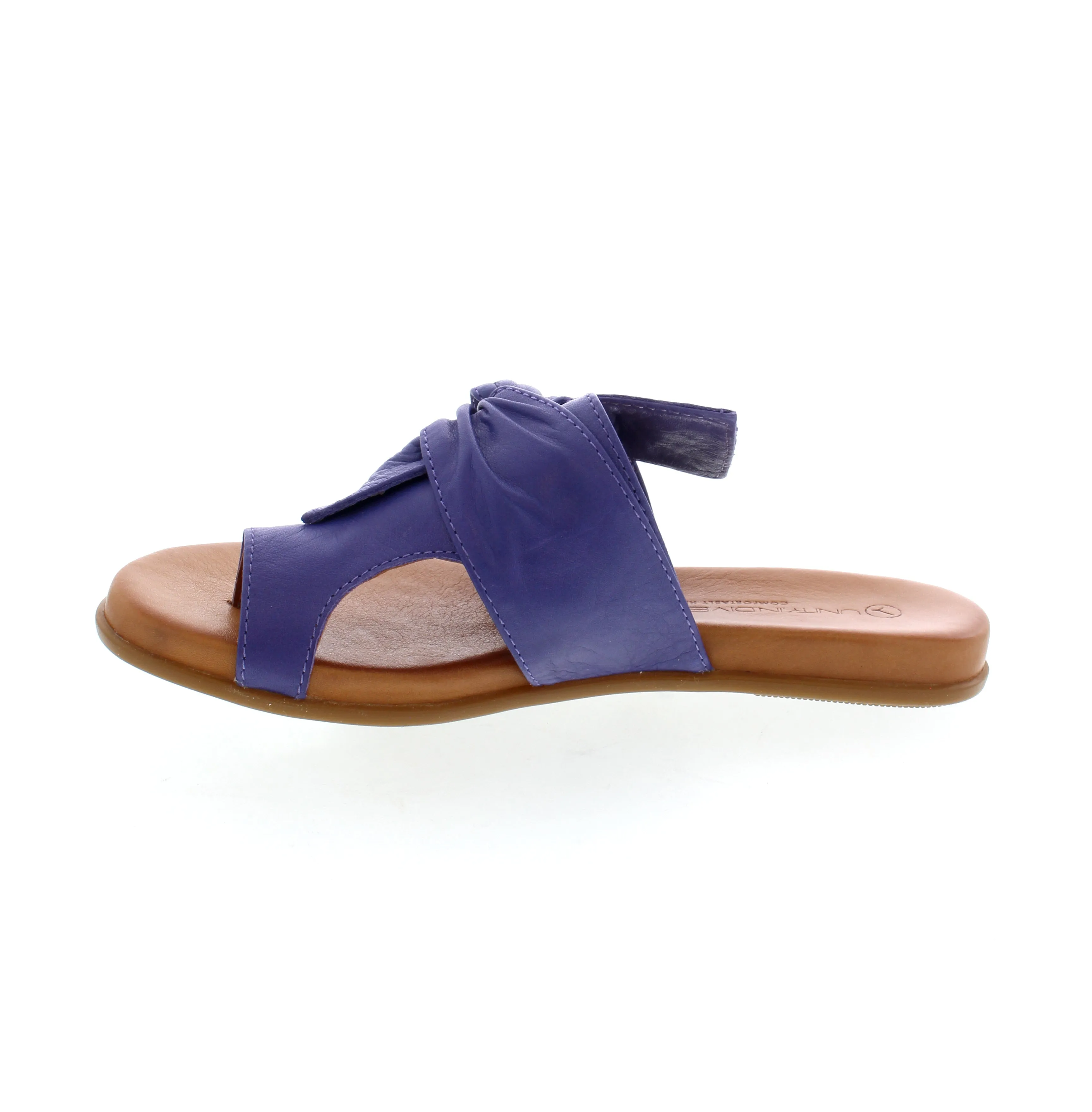 Unity in Diversity Kira 162 - Purple