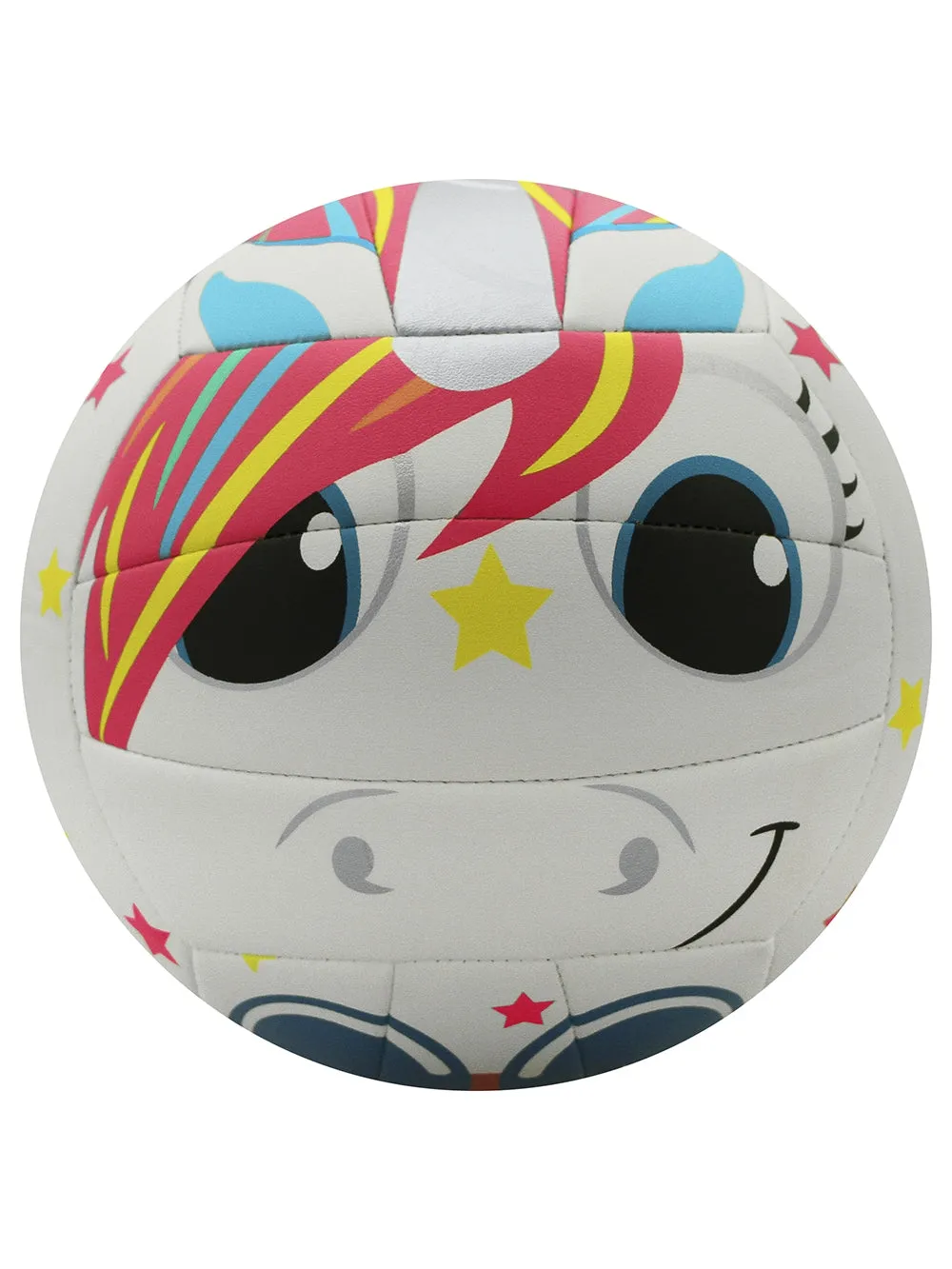 V200 Mini Volleyball