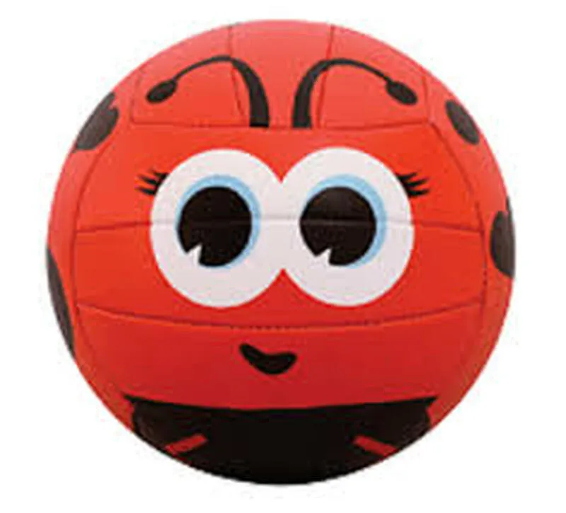 V200 Mini Volleyball
