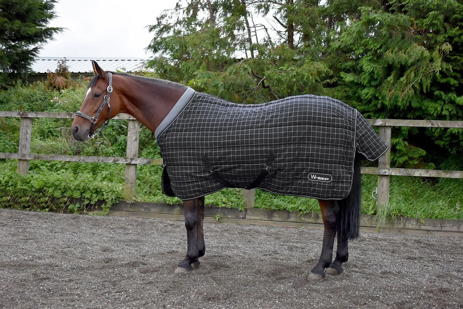 Whitaker Stable Rug Walcot 200 Gm