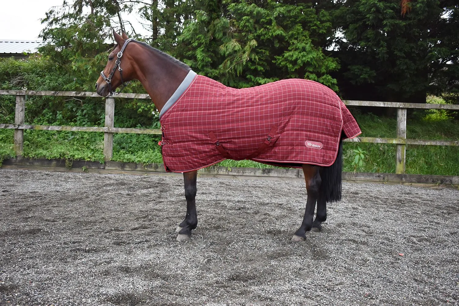 Whitaker Stable Rug Walcot 200 Gm