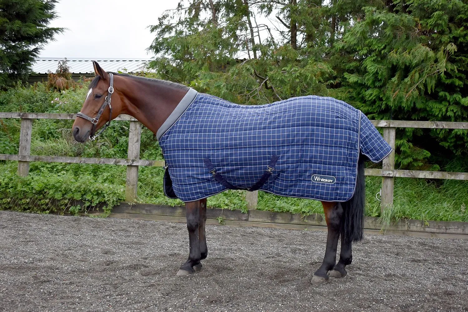 Whitaker Stable Rug Walcot 200 Gm