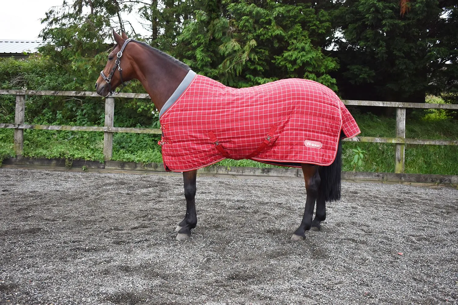 Whitaker Stable Rug Walcot 200 Gm