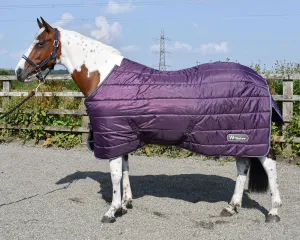 Whitaker Thistle Stable Rug 200Gm